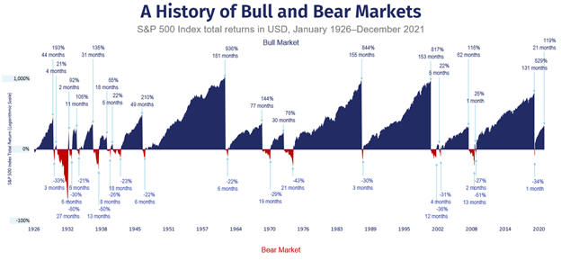history-bear-bull
