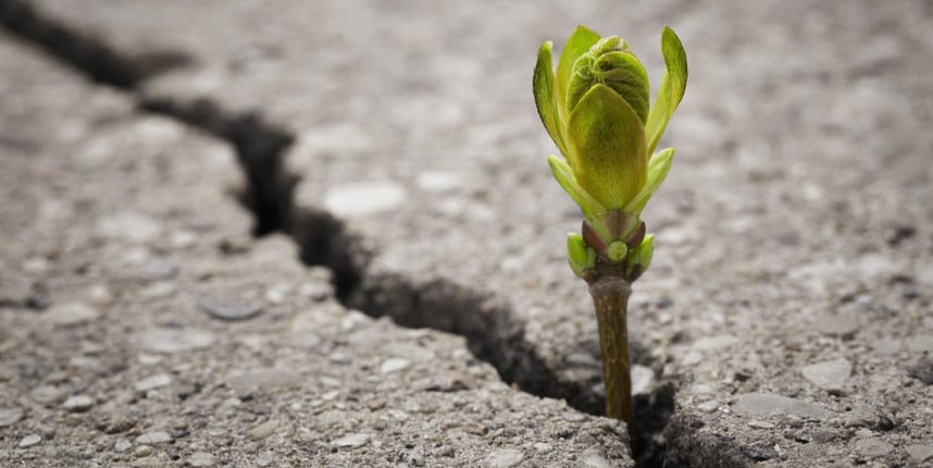 Choose to Be an Optimist