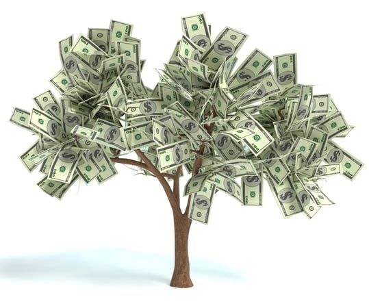 The Money Tree (and Other Basic Investing Principles)
