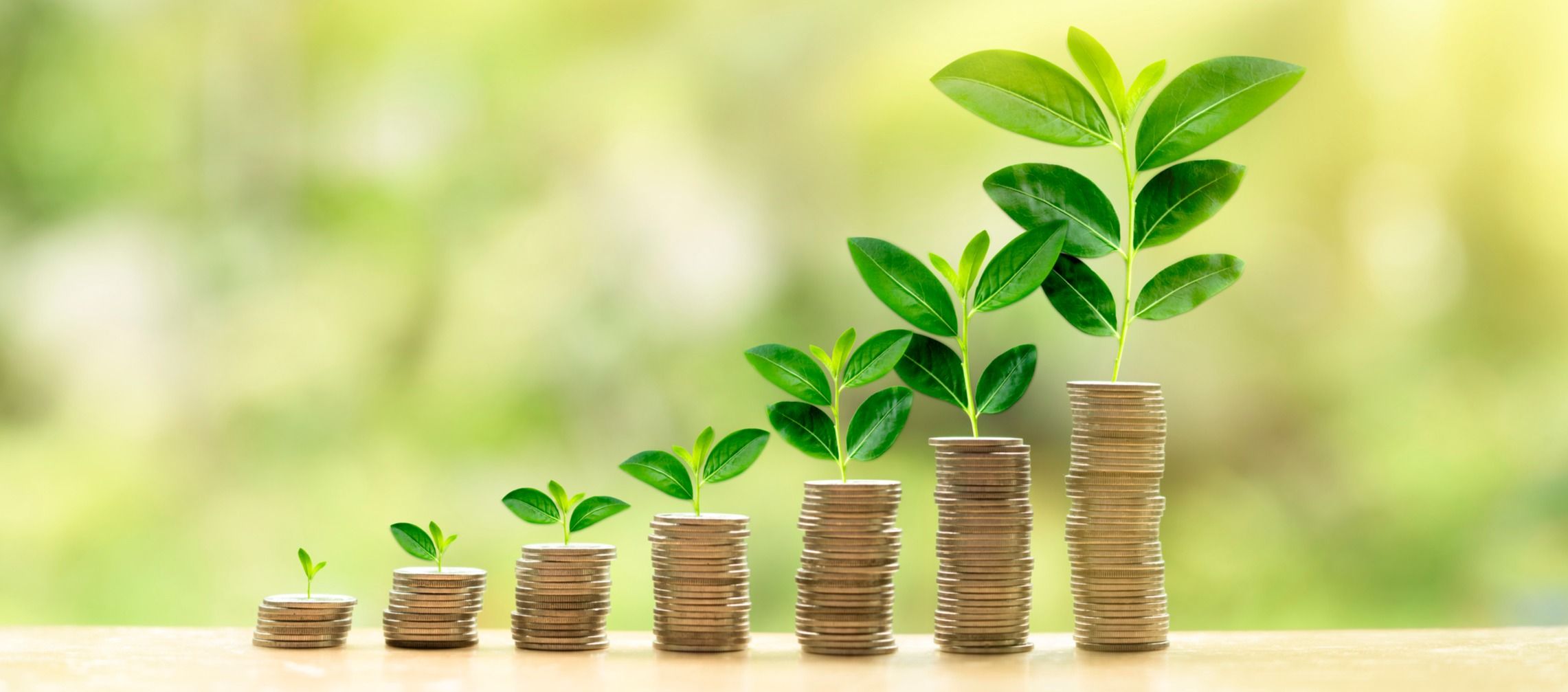 7 Ways You Can Take Advantage of the Down Market